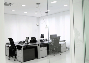 Company view